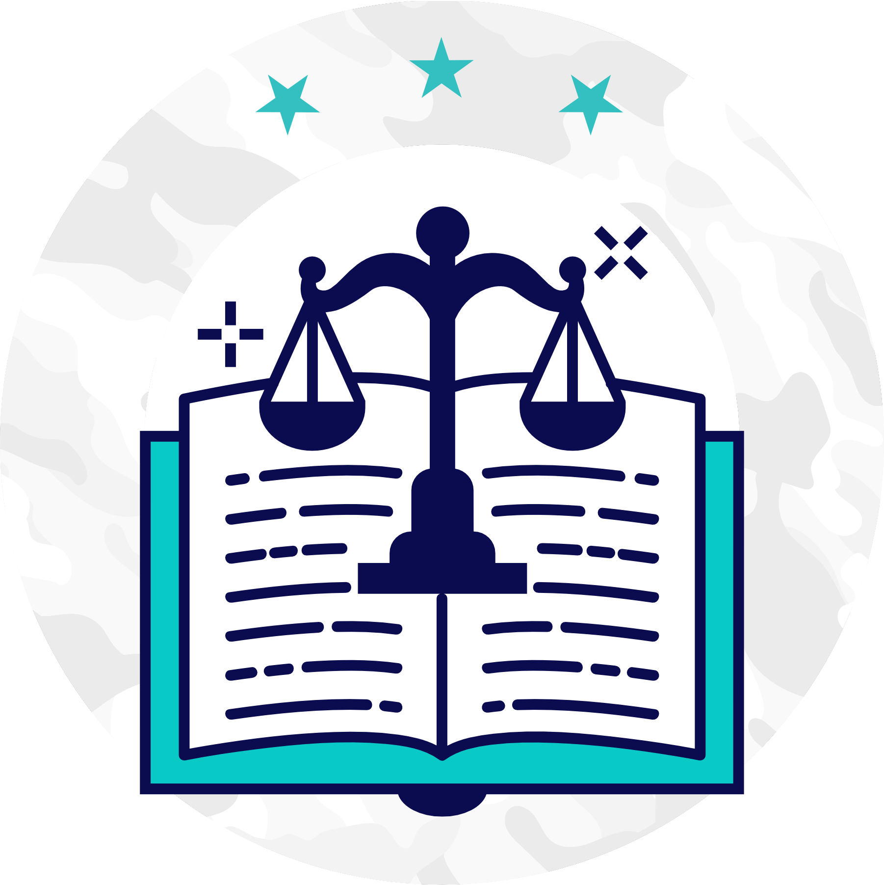 Municipal Financial Management & Audit Compliance